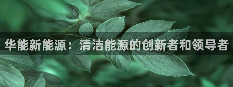 球盟会手机网页版:华能新能源:清洁能源的创新者和领导者