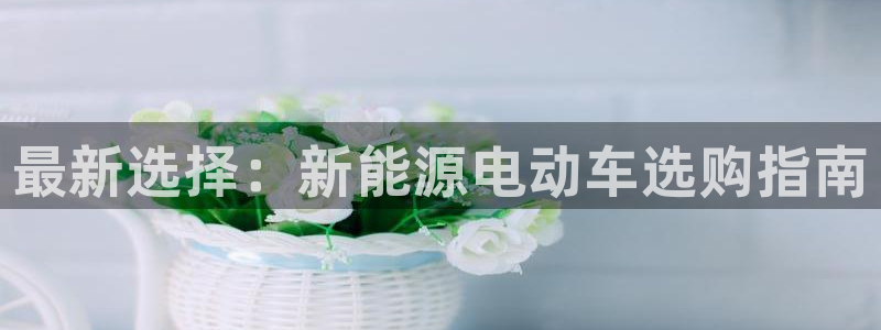球盟会入口:最新选择:新能源电动车选购指南