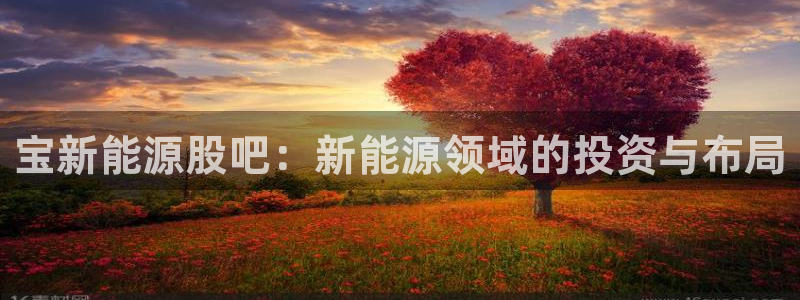 球盟会在线官网:宝新能源股吧:新能源领域的投资与布局