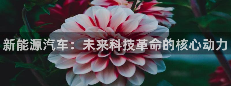千亿球盟会:新能源汽车:未来科技革命的核心动力