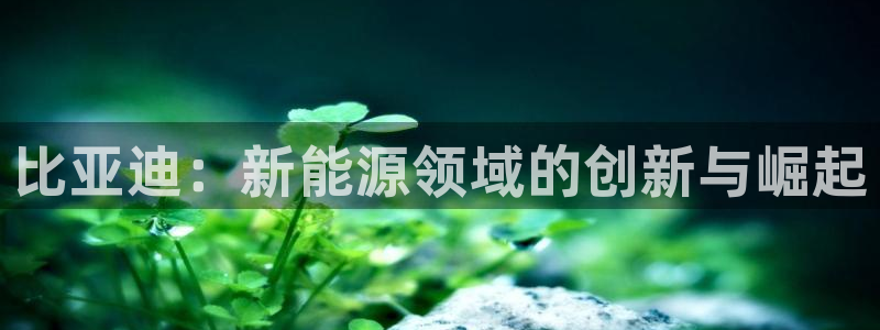 球盟会游戏几点玩合适：比亚迪：新能源领域