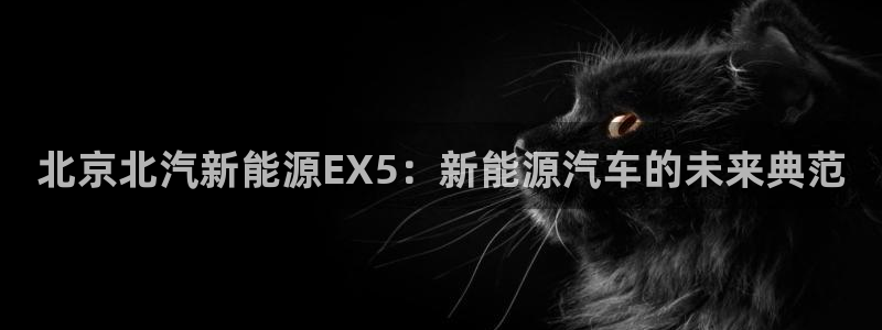 球盟会app安装：北京北汽新能源EX5：