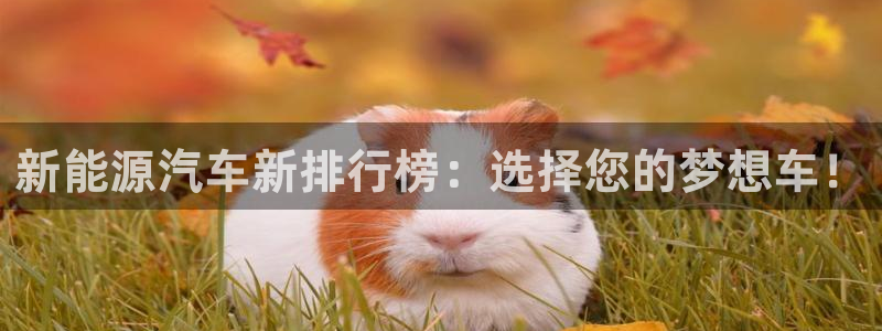 球盟会登录平台入口:新能源汽车新排行榜:选择您的梦想车!