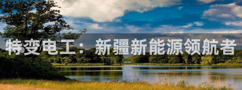 球盟会进不去吗:特变电工:新疆新能源领航者