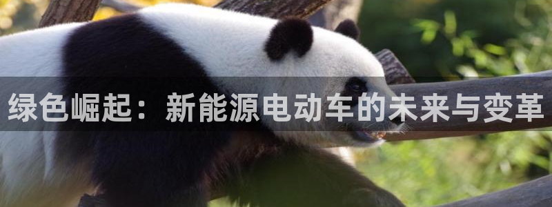 球盟会登录平台:绿色崛起:新能源电动车的未来与变革