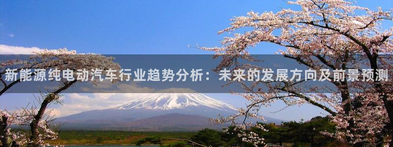 球盟会官方:新能源纯电动汽车行业趋势分析:未来的发展方向及前