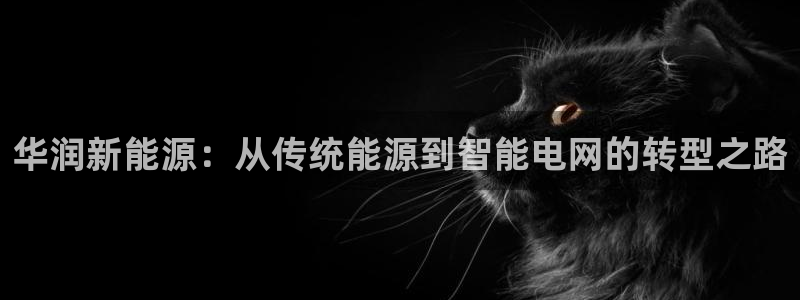 球盟会可以提现么是真的吗:华润新能源:从传统能源到智能电网的