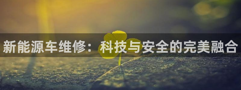 球盟会官方app首页入口:新能源车维修:科技与安全的完美融合