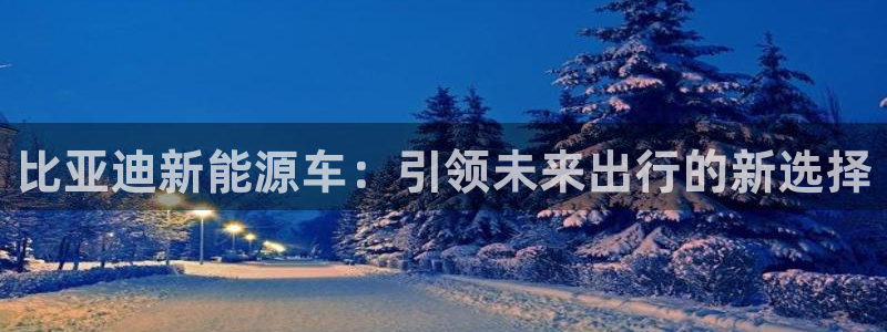 球盟会app最新地址在哪里:比亚迪新能源车:引领未来出行的新