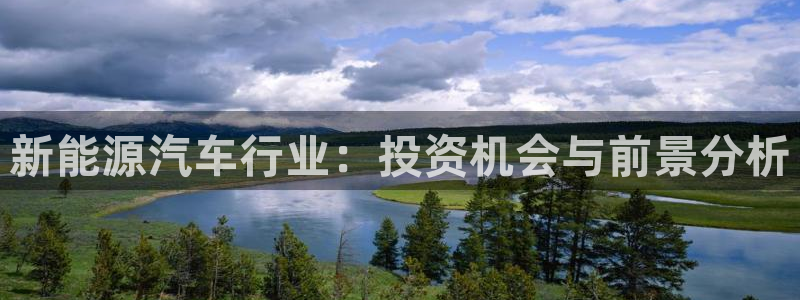 球盟会qmh网址:新能源汽车行业:投资机会与前景分析