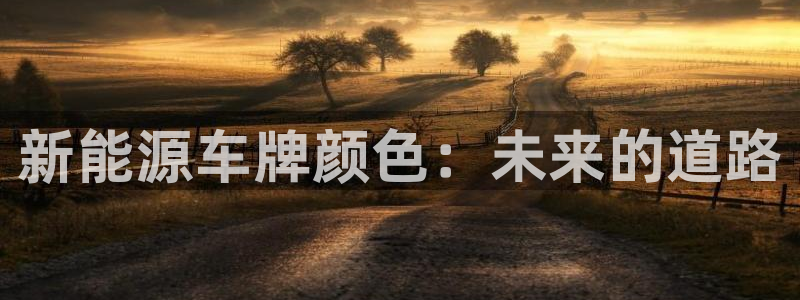 球盟会app最新地址下载安装：新能源车牌